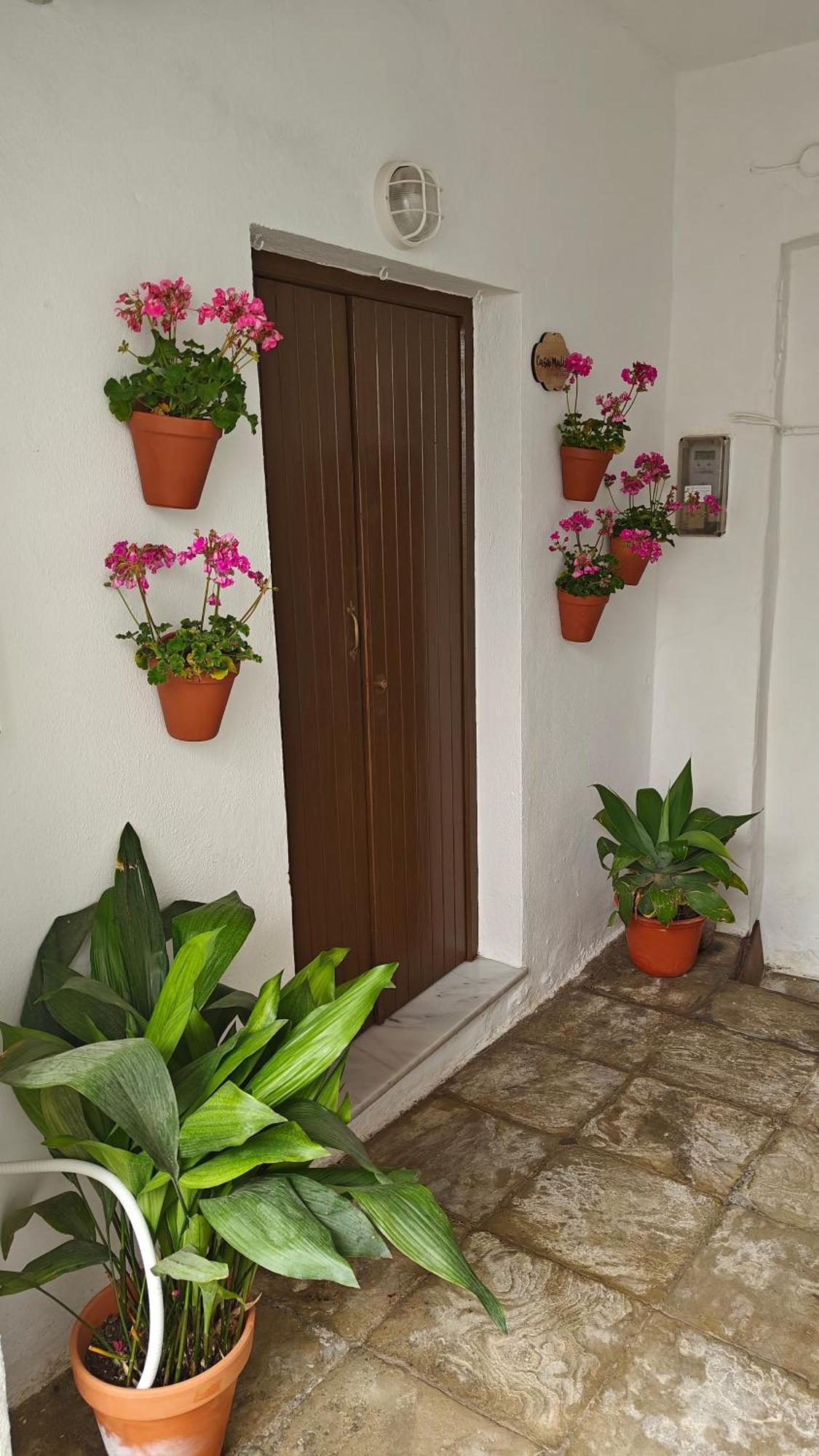 Casa Malia Apartamento Recien Reformado En Centro Vejer de la Frontera Exteriör bild